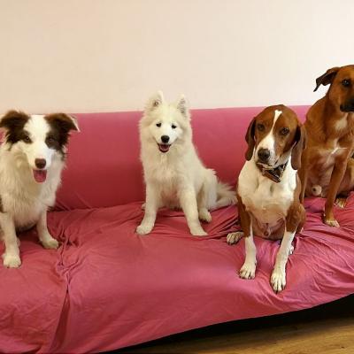 0img 20220103 124644 1000