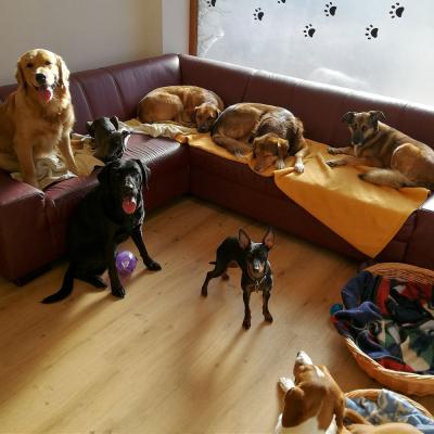 Img 20230207 135424 422 1000