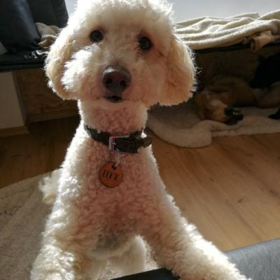 Img 20220223 140306 700