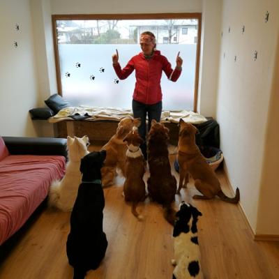 Img 20220331 145356 700