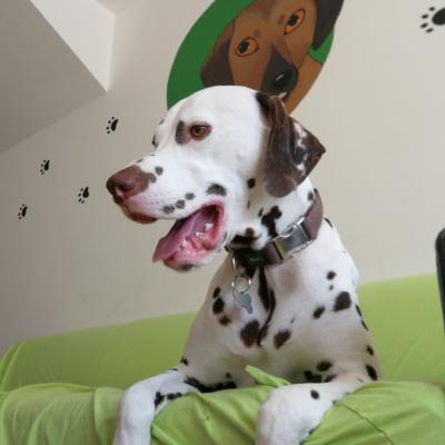 Img 20220803 161333 700