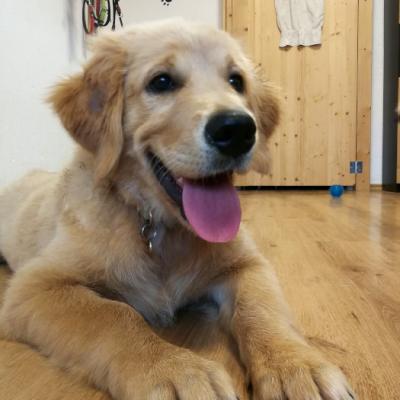 Img 20220925 184614 700