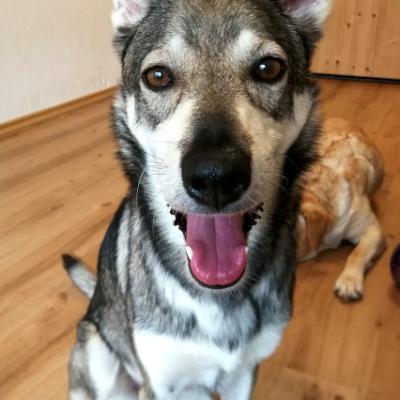 Img 20220928 142602 700