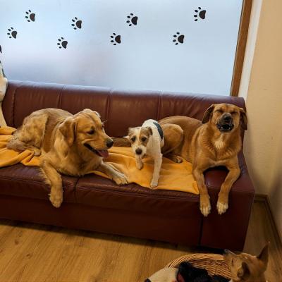 Pxl 20230418 071245835 1000