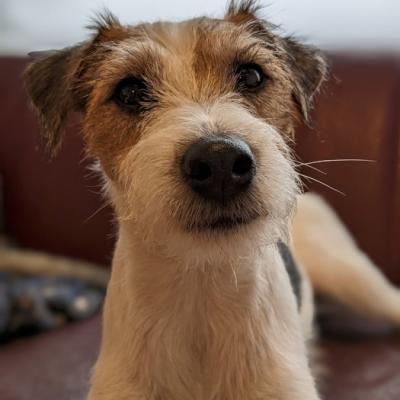 Pxl 20230418 083714508.portrait 700