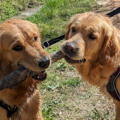 Pxl 20230422 113421804 1000