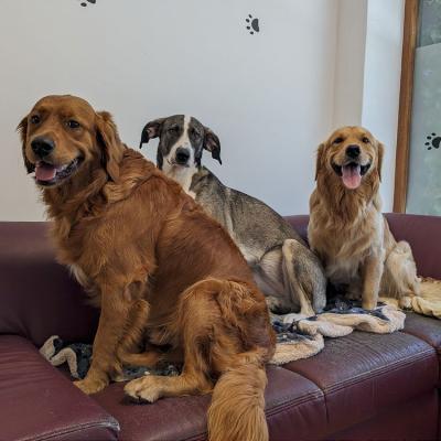 Pxl 20230629 095501170 1000