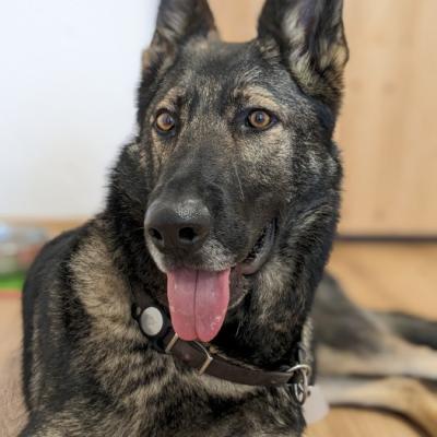 Pxl 20230816 112926117.portrait 700