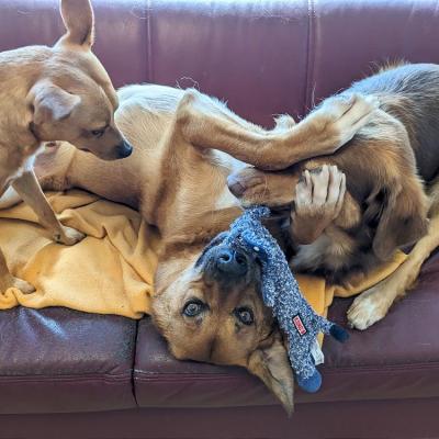 Pxl 20230822 122901773.mp2 1000